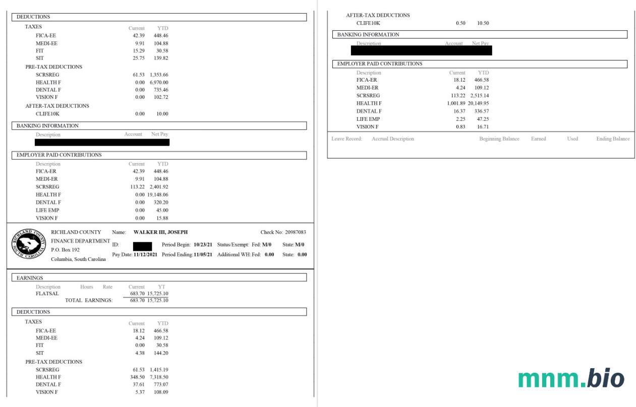 Szablon Paystub hrabstwa Richland w formatach Word i PDF